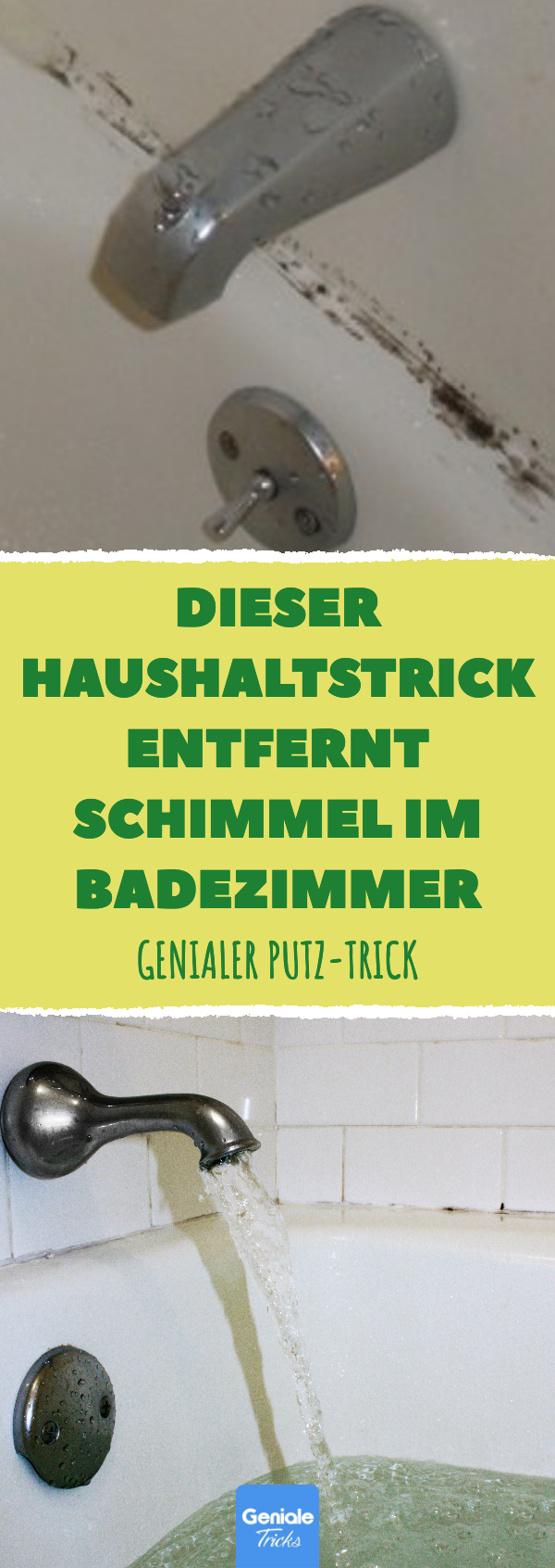 img/die-besten-methoden-zur-entfernung-von-schimmel-in-badezimmerfliesen.png